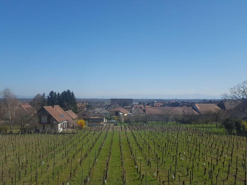 Hôtel Saint Hubert - Colmar Sud Eguisheim Buitenkant foto