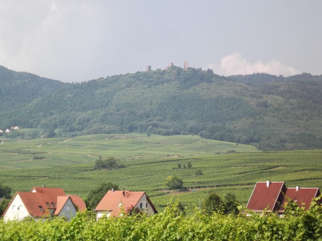 Hôtel Saint Hubert - Colmar Sud Eguisheim Buitenkant foto