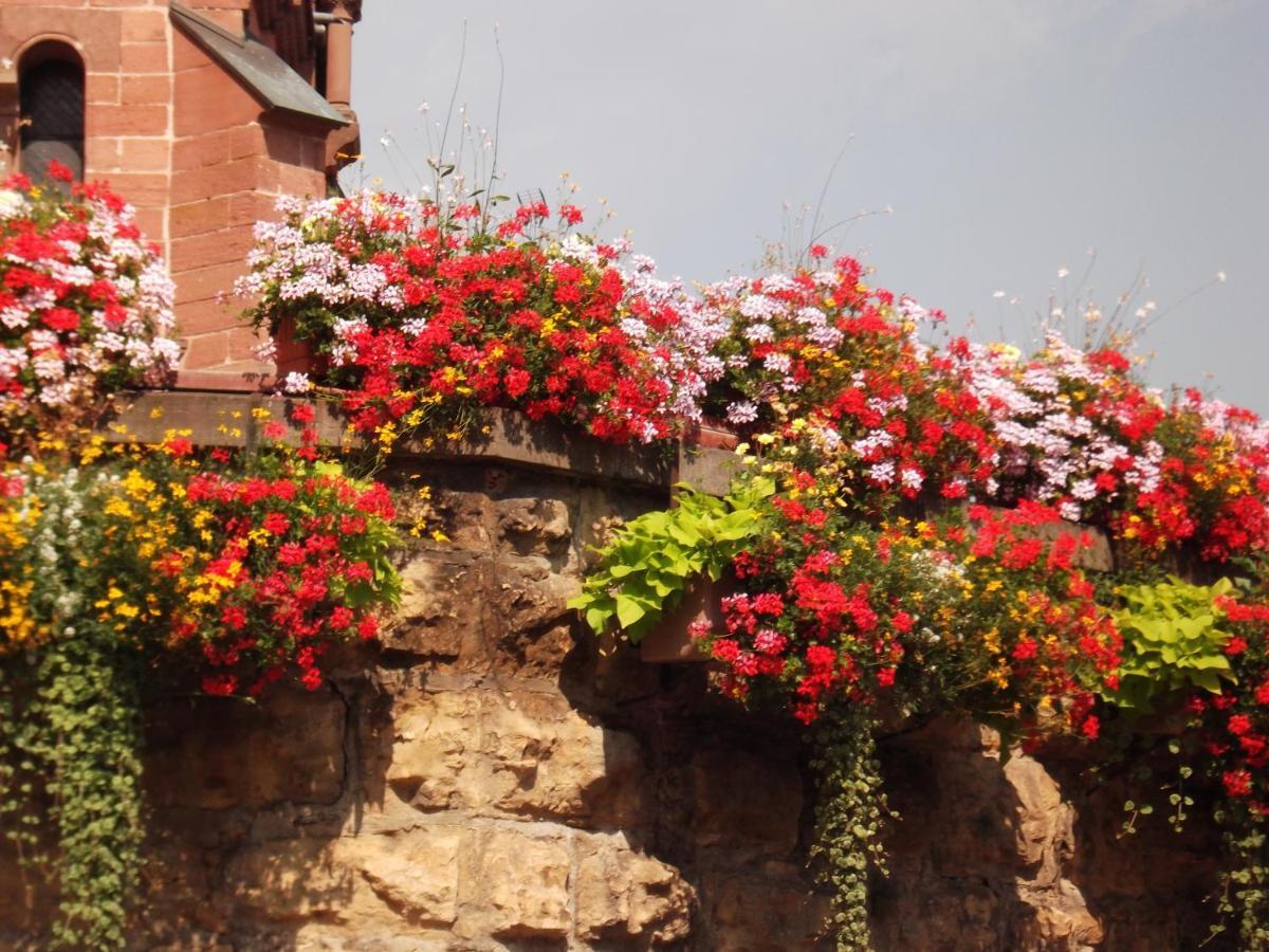 Hôtel Saint Hubert - Colmar Sud Eguisheim Buitenkant foto